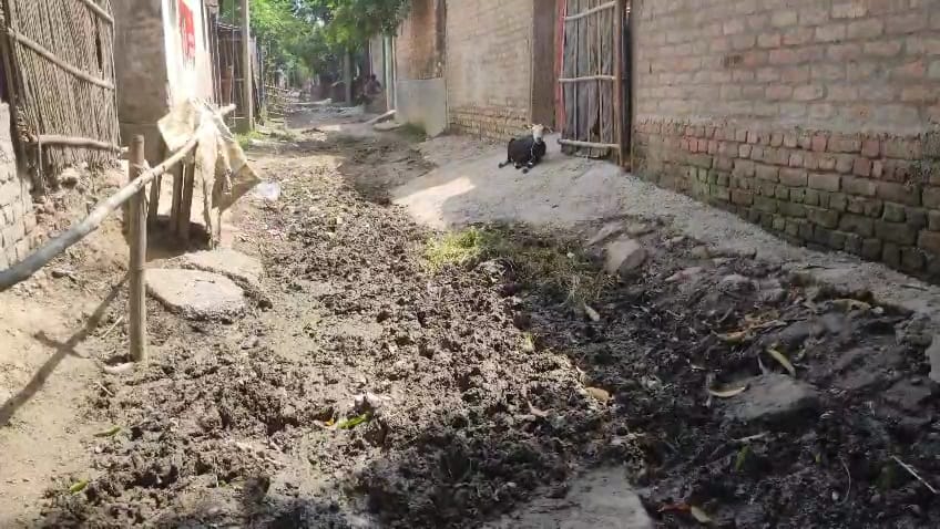 বেহাল রাস্তা যাতায়াতের অযোগ্য, রাস্তা পাকা করার দাবিতে বিডিও অফিসে স্কুলপড়ুয়াদের বিক্ষোভ