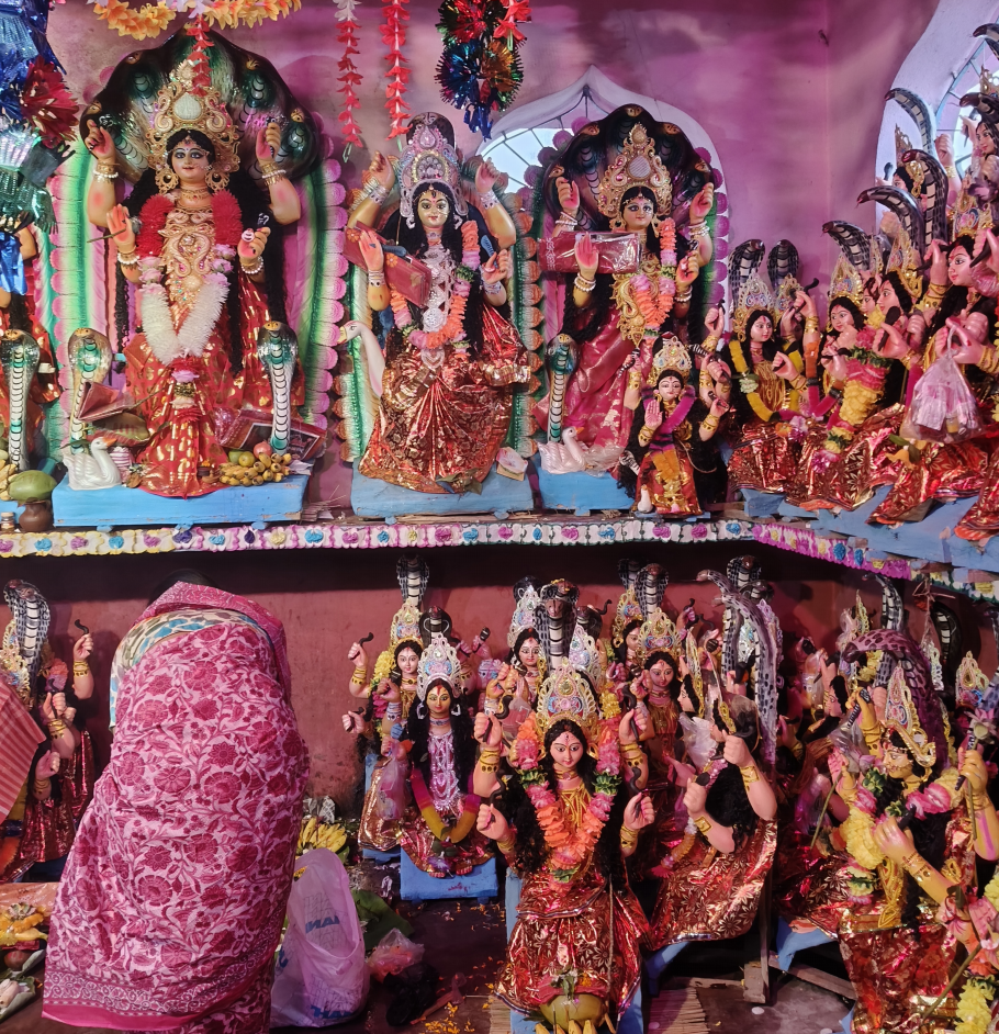 দুর্গোৎসবের মাঝেও ময়নার প্রাণের উৎসব বিষহরি ঠাকুরানি, ৪০০ বছরের ঐতিহ্যে মিশেছে সম্প্রীতির সুর
